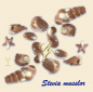 Preview: Cavalier musslor praliner 12 x 130g